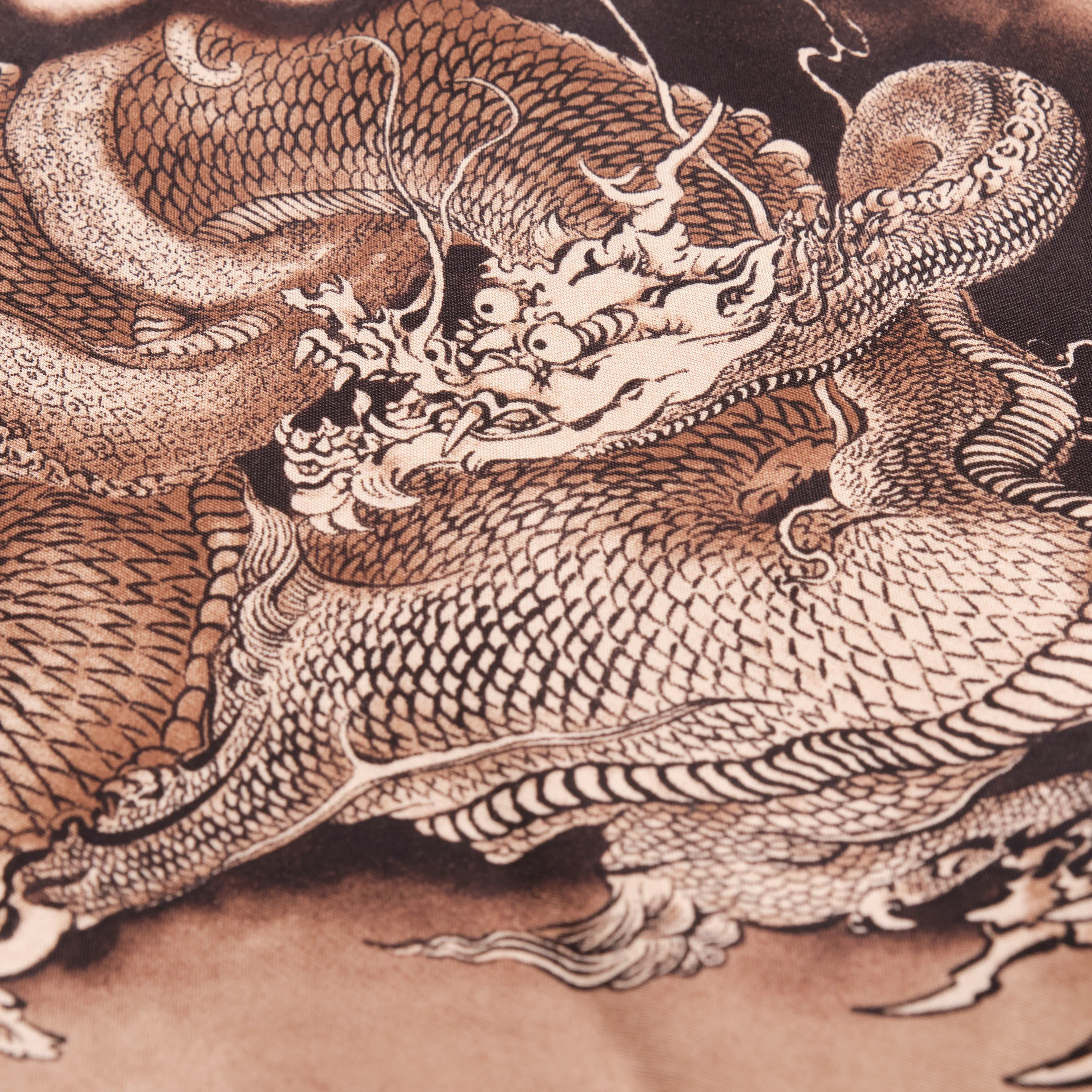 Hawaiian Brown Dragon - Image 4