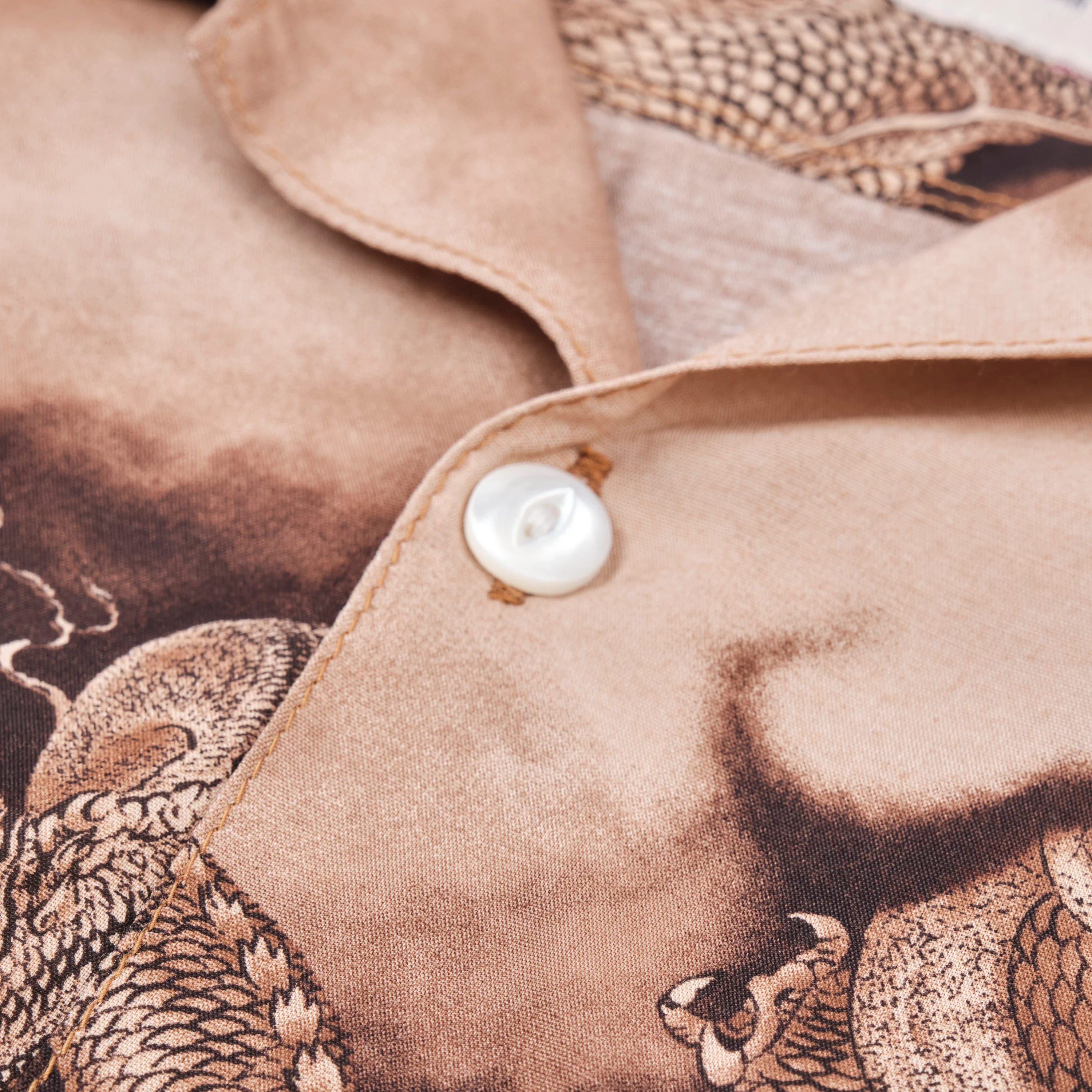 Hawaiian Brown Dragon - Image 5