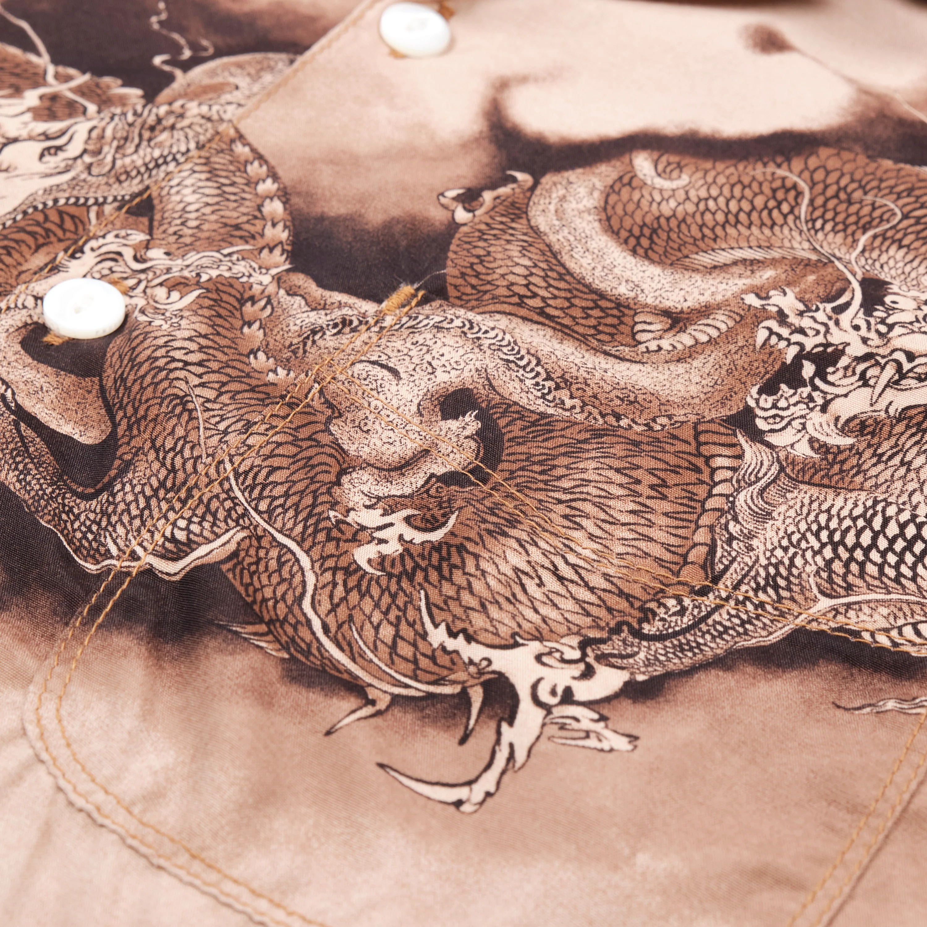 Hawaiian Brown Dragon - Image 6