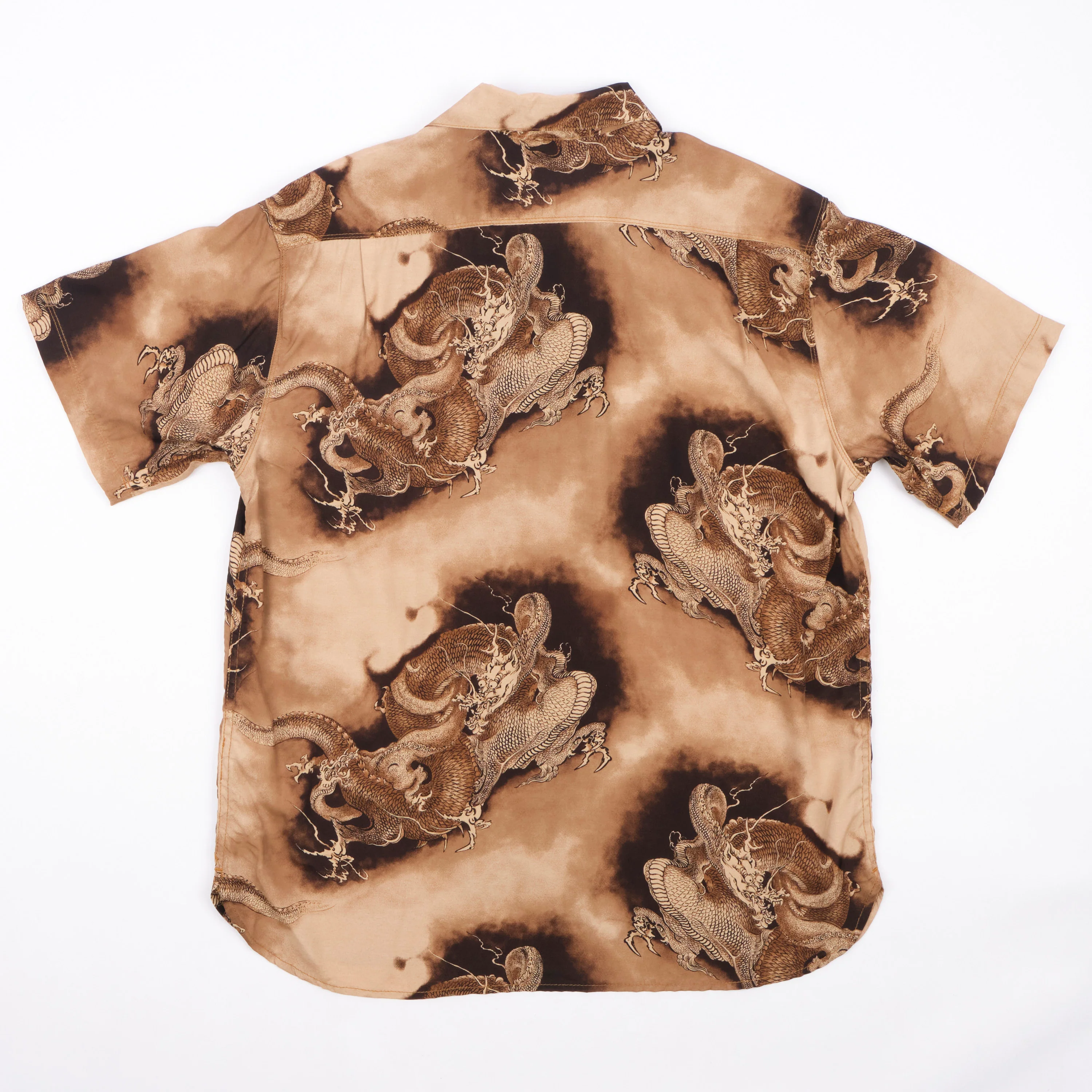 Hawaiian Brown Dragon - Image 7